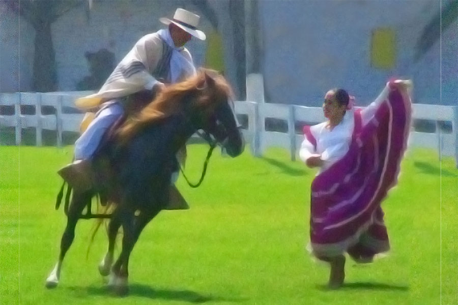 Caballo de paso y danza de la marinera